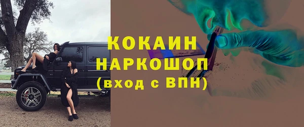 гашик Алзамай