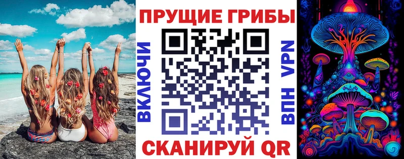 как найти закладки  Туринск  Галлюциногенные грибы Cubensis 